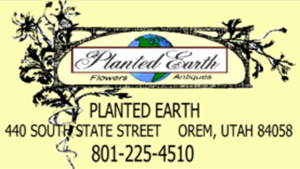 planted-earth