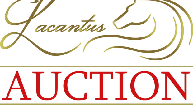Lacantus-AUCTION-logo6-1000px