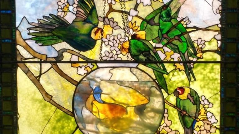Tiffany Window Shines Light on Carolina Parakeets