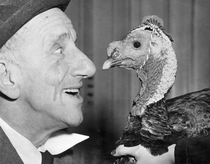 Looking a gift turkey in the eye, Jimmy Durante “noses” up to the gobbler presented to him in preparation for his role as Grand Marshal of the annual Macy Thanksgiving Day Parade in 1950. Jimmy took good care of the bird to make certain it could make the long march down Broadway with an impressive array of floats and floating giants.