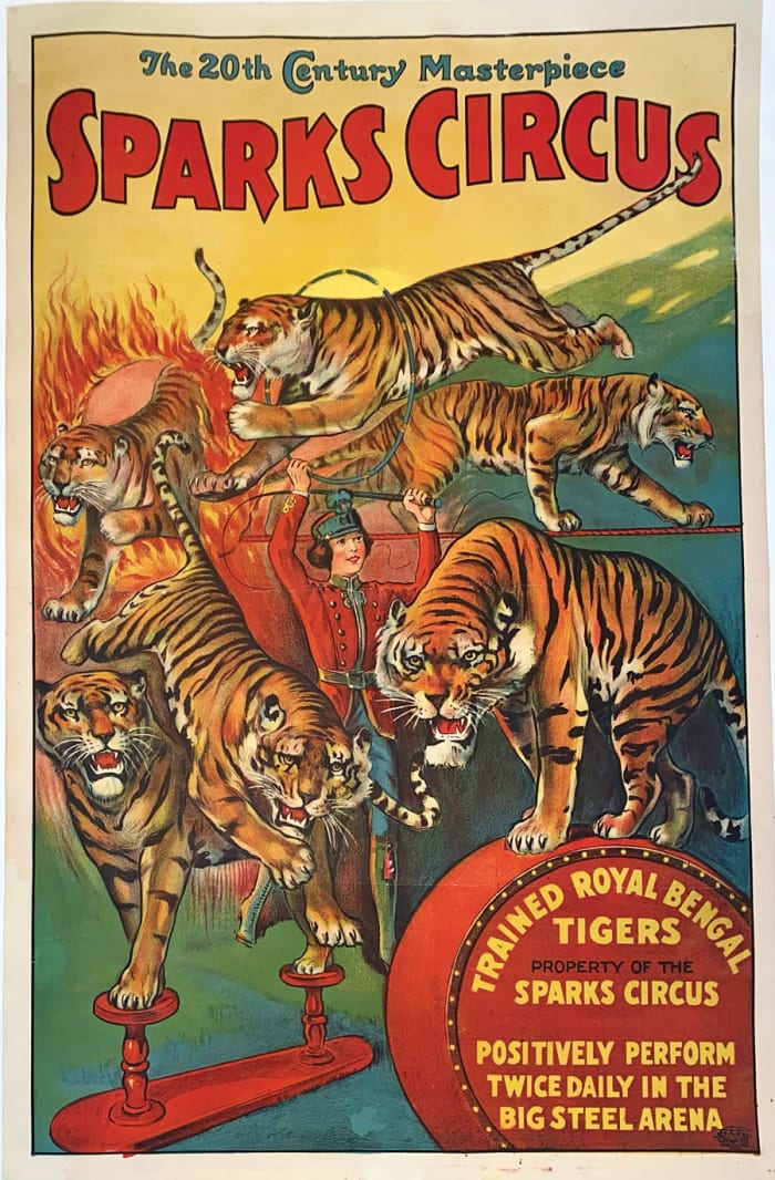 This 1928 Erie Lithograph  poster for Sparks Circus is unique, featuring a female  trainer in the middle of the tigers. There were few female trainers at the time; one of the  most famous was Mabel Stark.