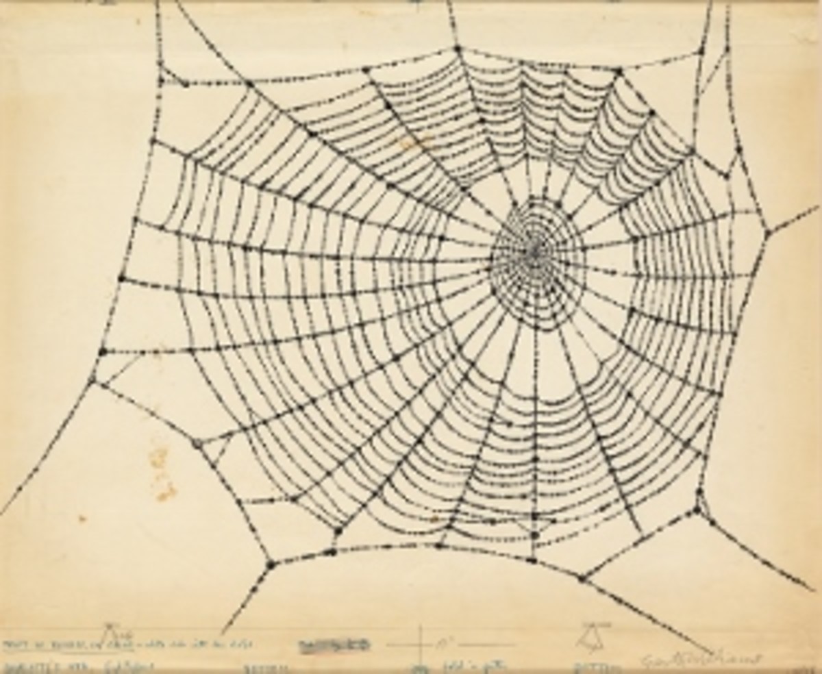 Charlotte's Web, pen and ink with pencil and wash, circa 1952 ($10,000 to $15,000). (Photo courtesy Swann Auction Gallery)