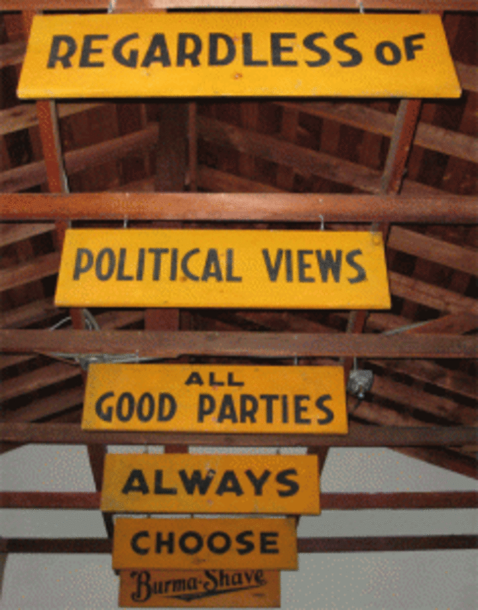 _Political-Viewswb