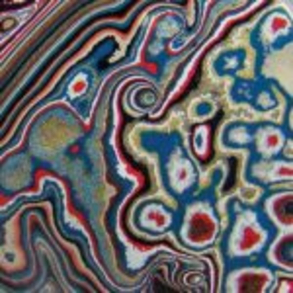 Cut and polished Fordite detail
