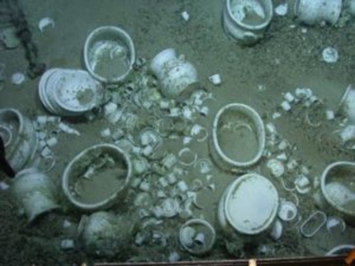  White ironstone china at the bottom of the sea, in place following a 19th century shipwreck. (Submitted photo)