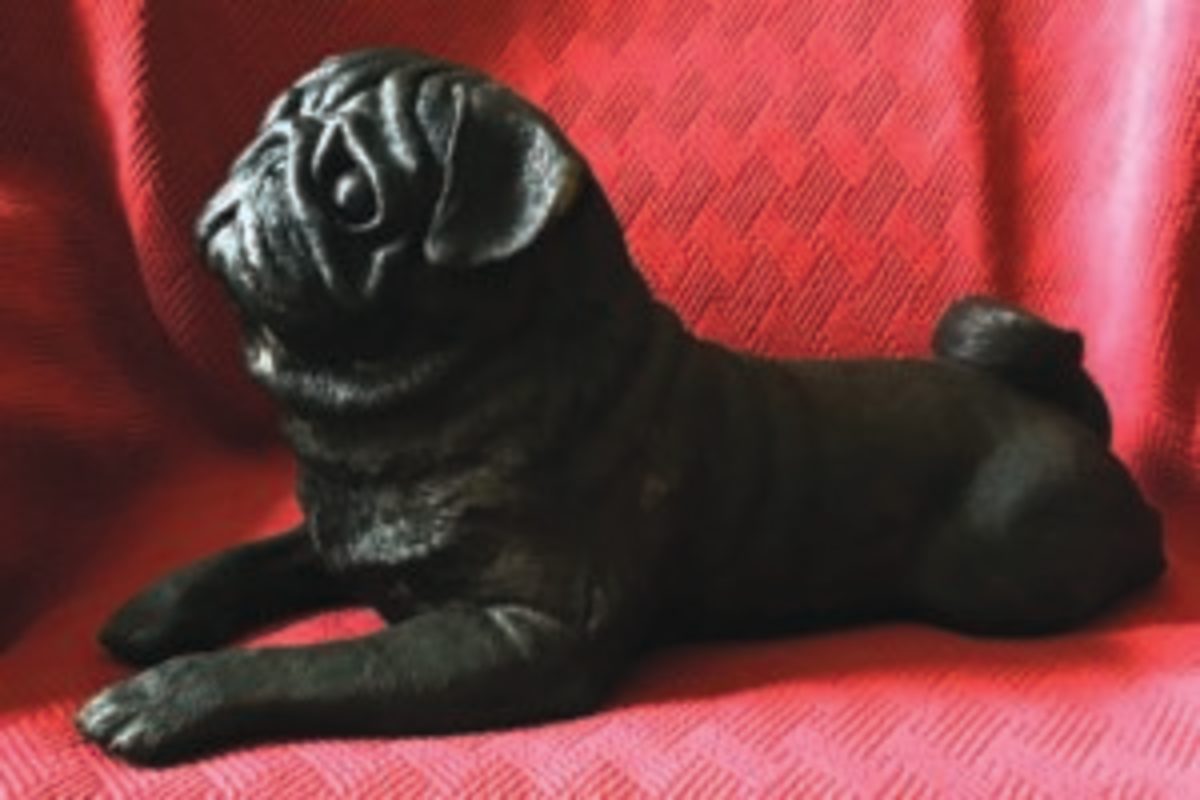  This bronze life-size Pug is one of Thompson’s favorite pieces. Image courtesy of Scott Thompson