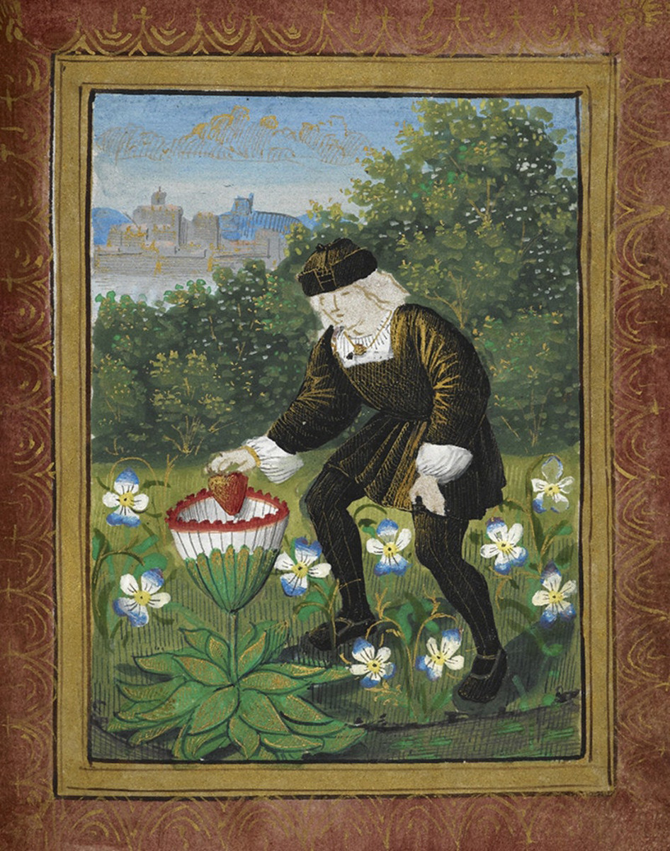 Miniature of Pierre Sala dropping “his” heart in a marguerite for his beloved Marguerite.