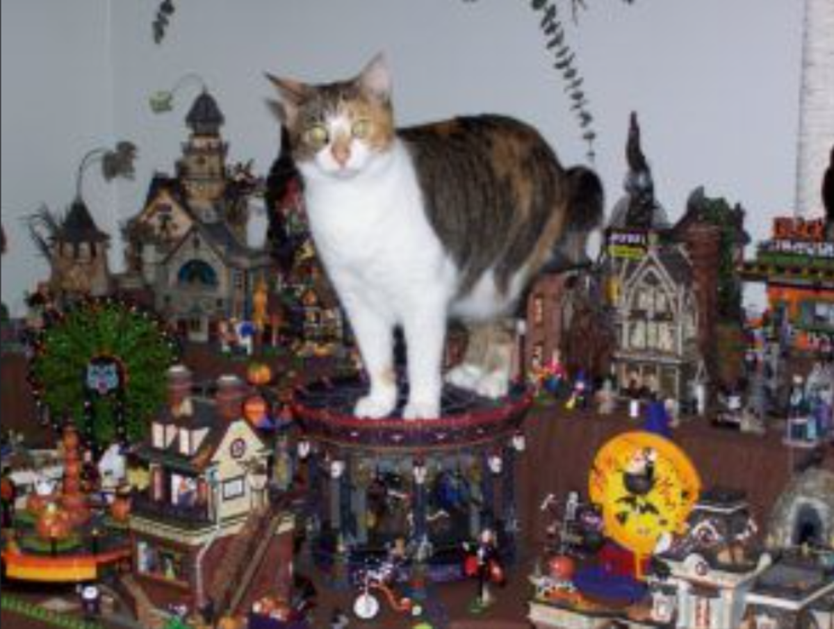 Department 56 makes Halloween pieces, too. Collector Nancy Mattson’s cat, Lacey, is a fan of the Halloween Merry-Go-Round.