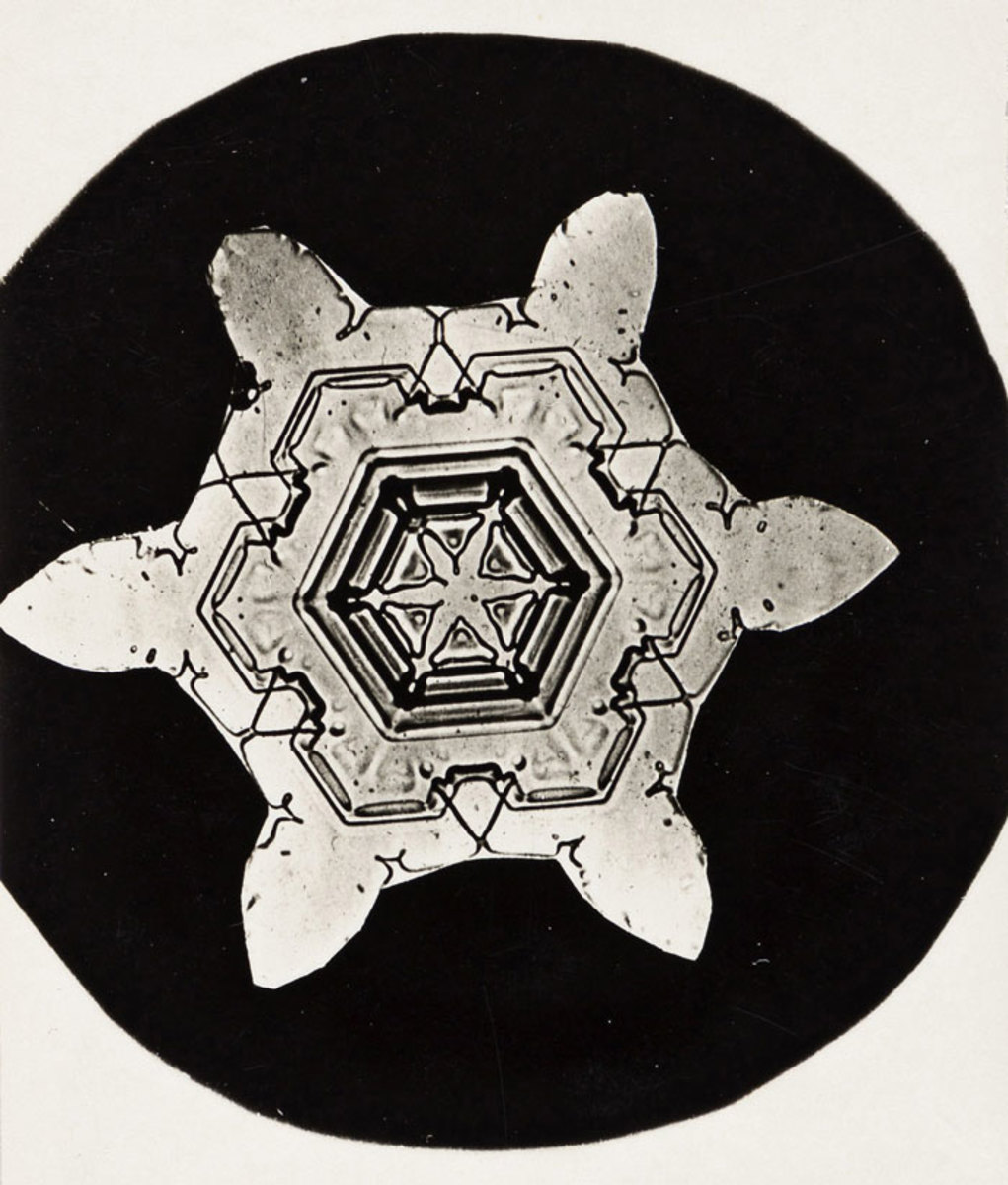 One of a group of four microphotographs of snow crystals, circa 1903-10, each measuring approximately 4” x 3”, that sold at Swann in 2021 for $2,250.