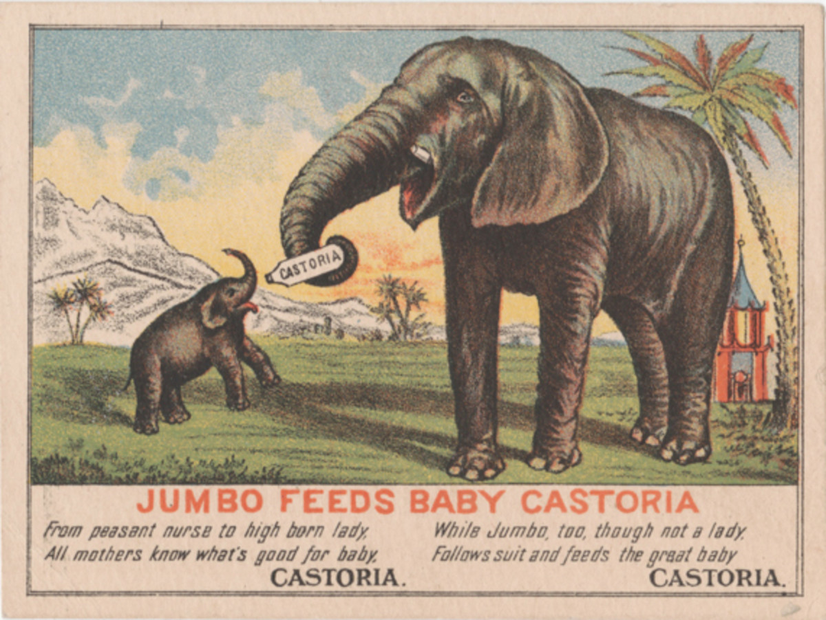 Jumbo Trade Card