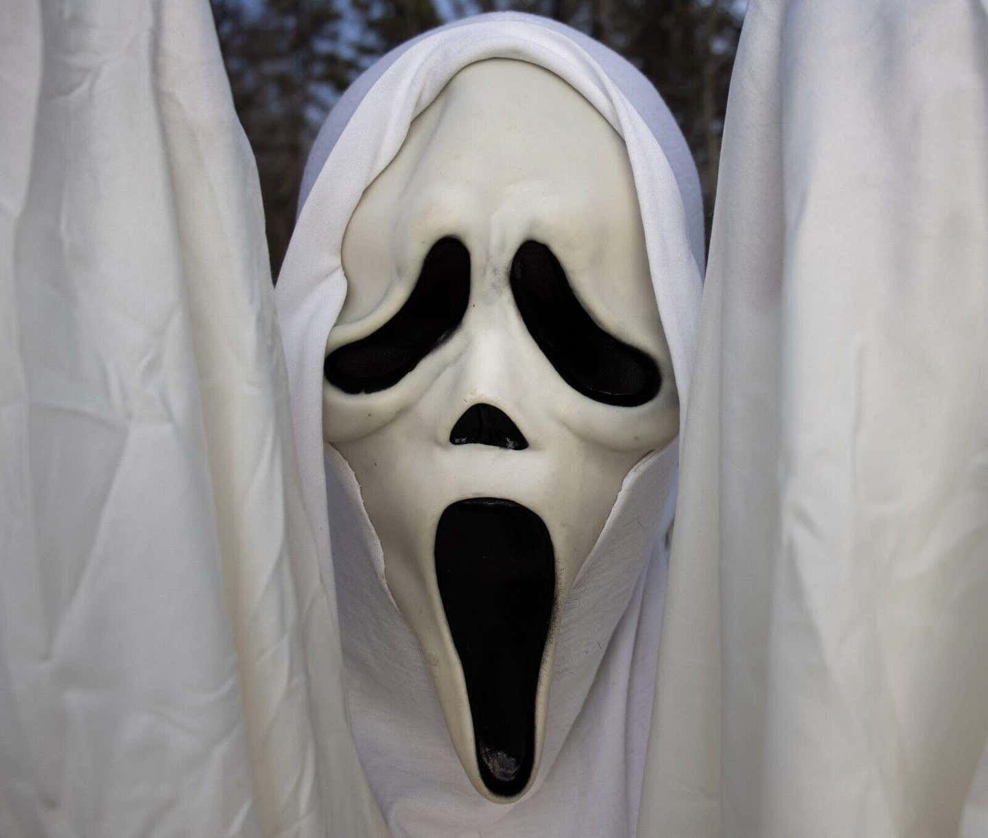 Goodwill Ghost: $5 Scream Mask Sells for $700