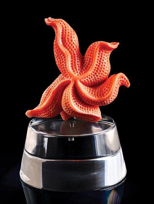 Red Gold: Fruits From the Silent Sea