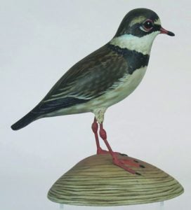 image-placeholder-title.jpg
