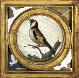 image-placeholder-title.jpg