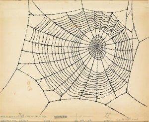 image-placeholder-title.jpg