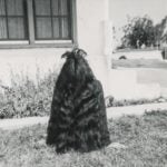 image-placeholder-title.jpg