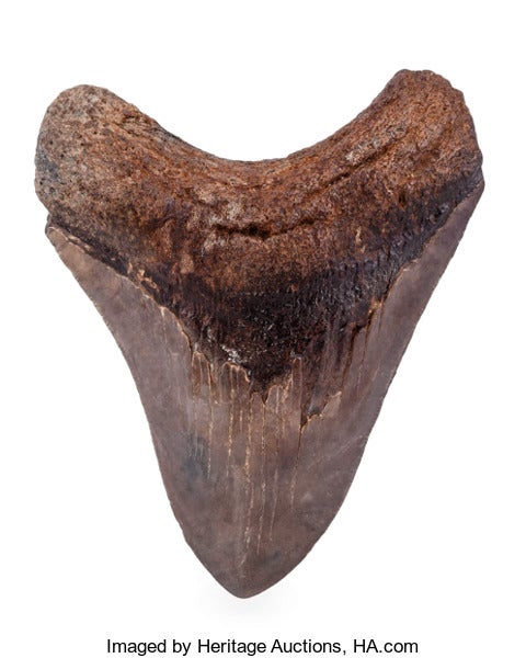 image-placeholder-title.jpg