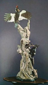 image-placeholder-title.jpg