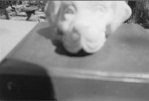 image-placeholder-title.jpg