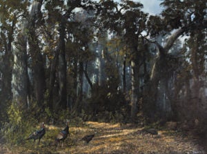 image-placeholder-title.jpg