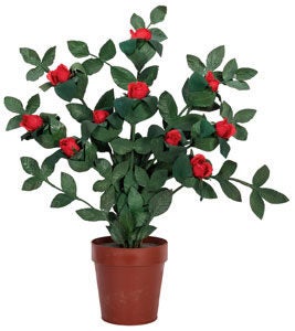 image-placeholder-title.jpg