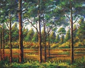 image-placeholder-title.jpg