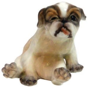 image-placeholder-title.jpg