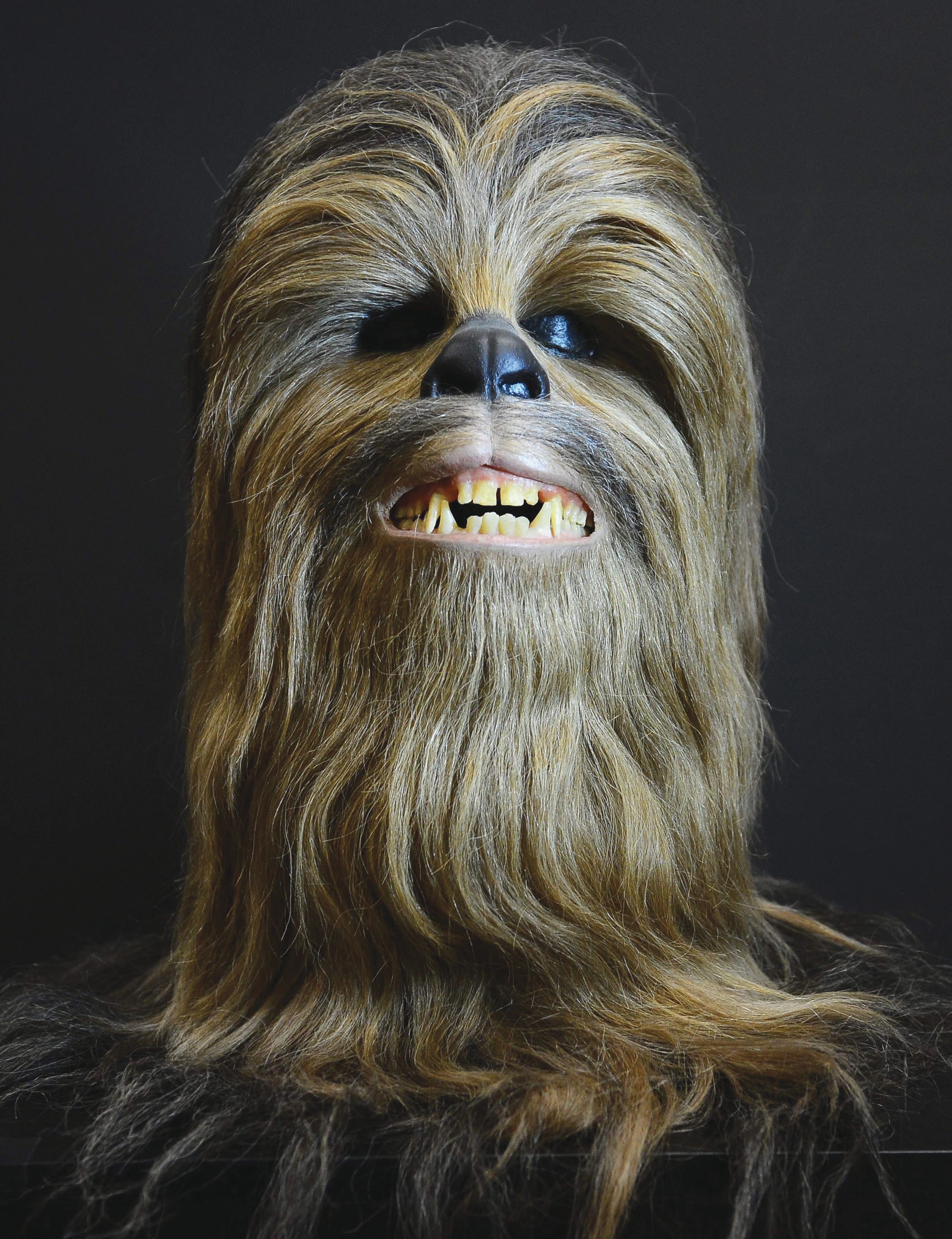 chewie-head-getty-148786662.jpg