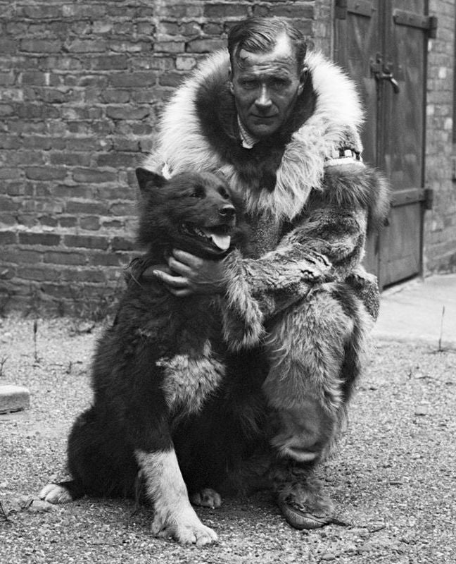 balto.jpg