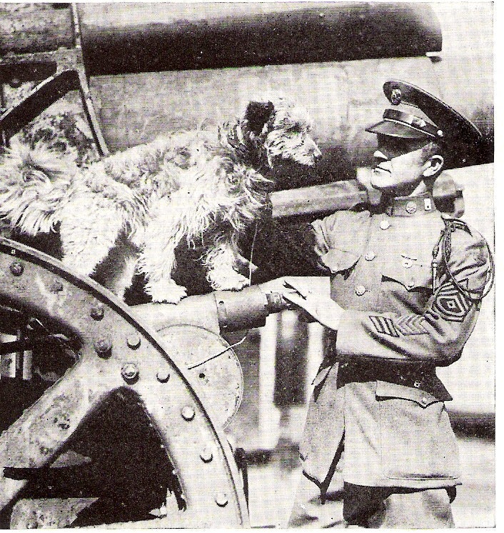 rags_the_dog_with_sergeant_george_e_hickman.jpg