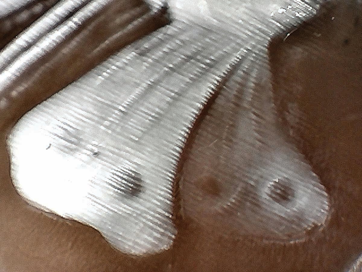 us-cameo-close-up-large-color.jpg