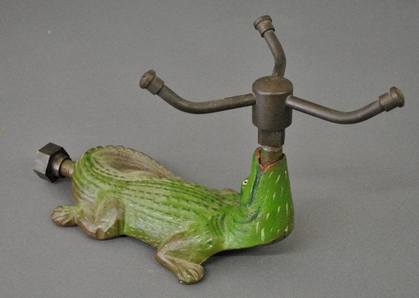 alligator.jpg