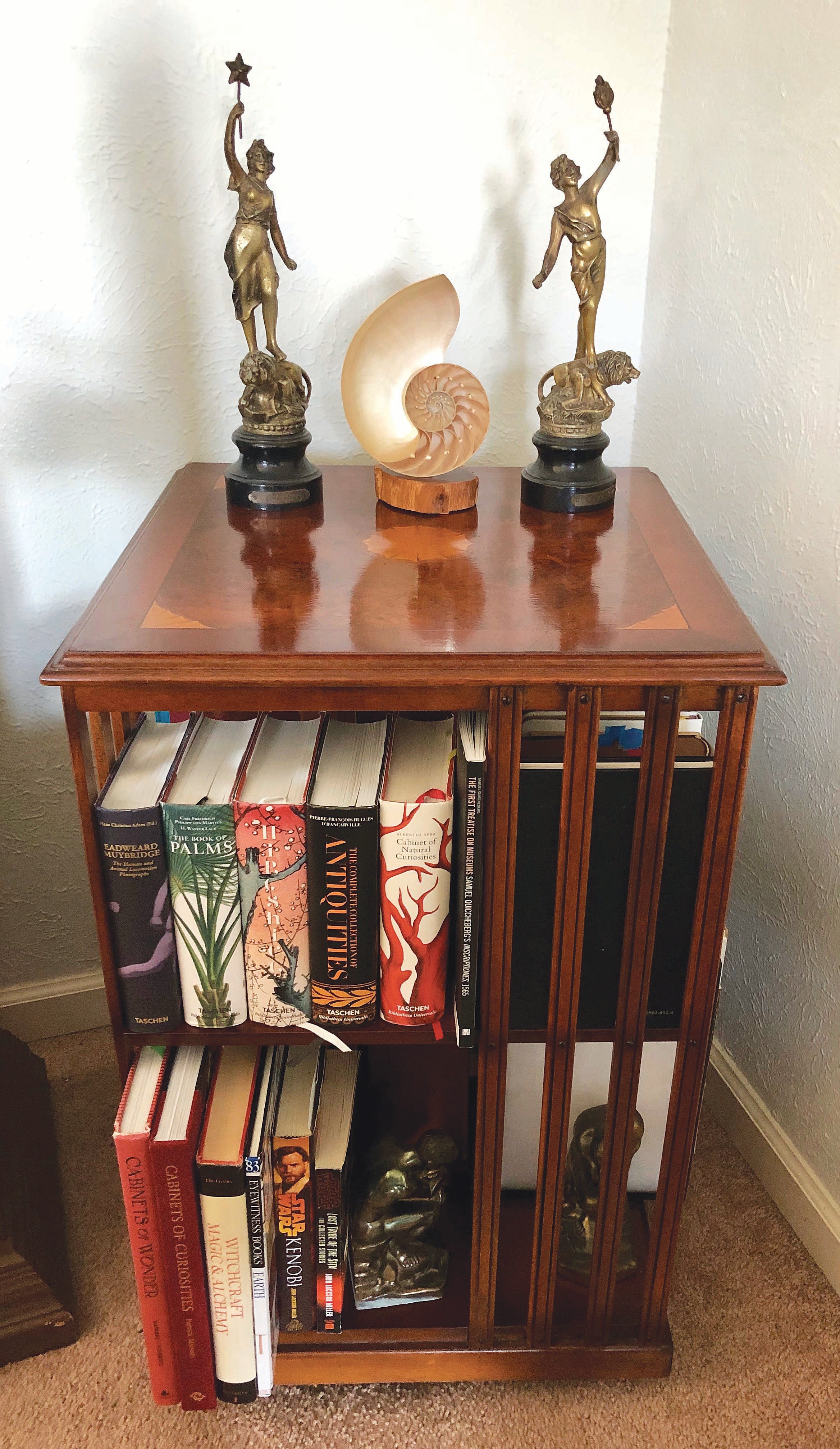 01_revolving-bookcase.jpg