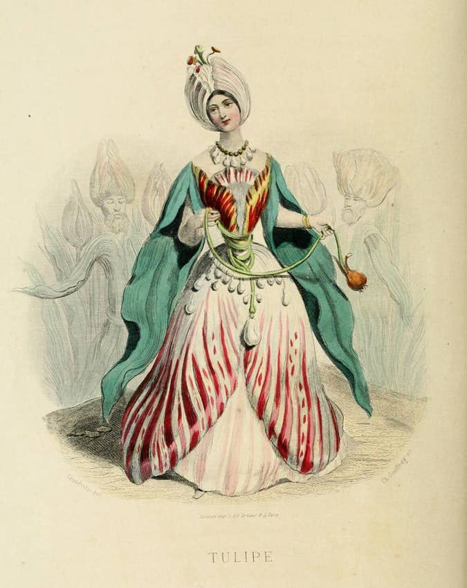 grandville11.jpg