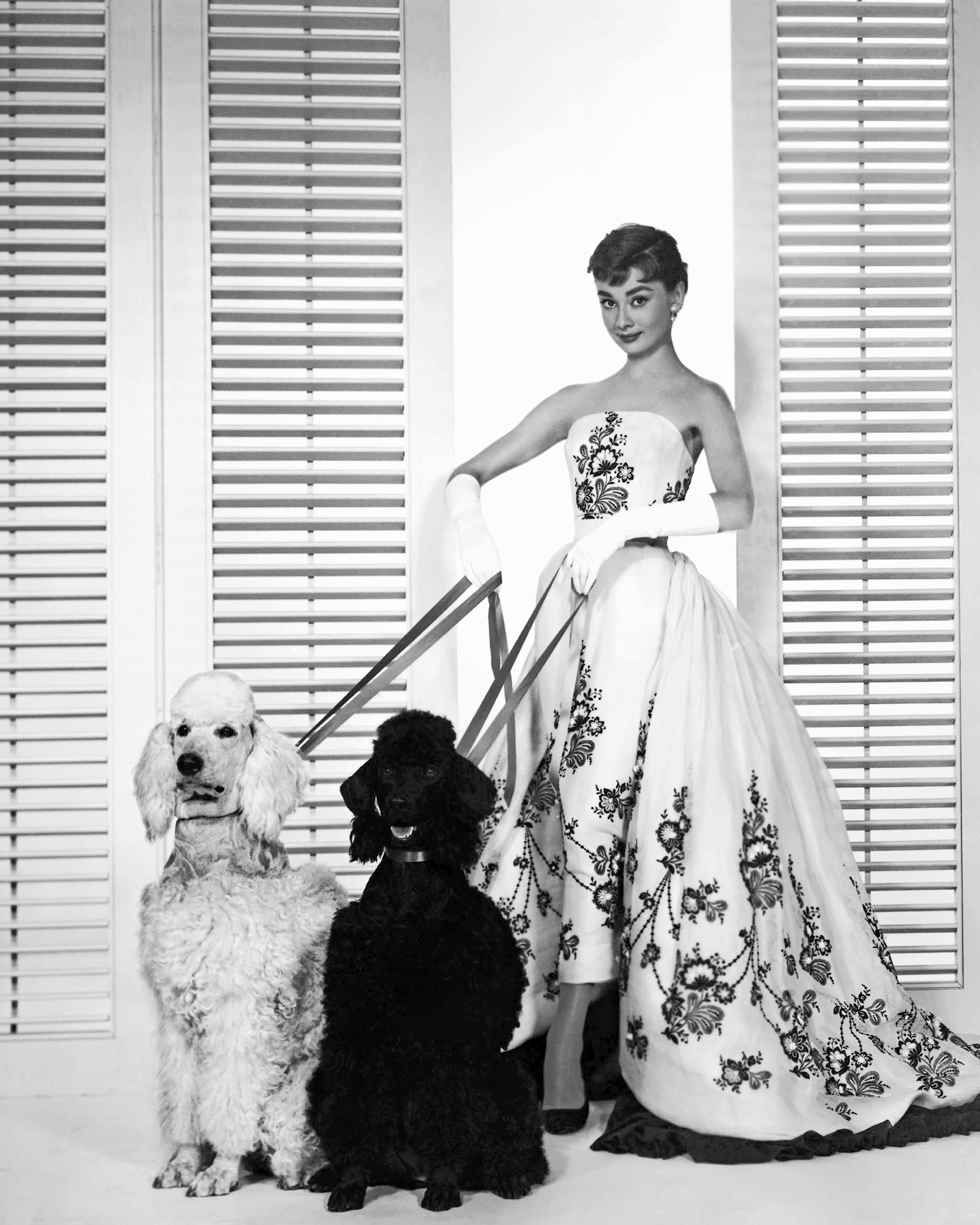 gettyimages-516974320.jpg