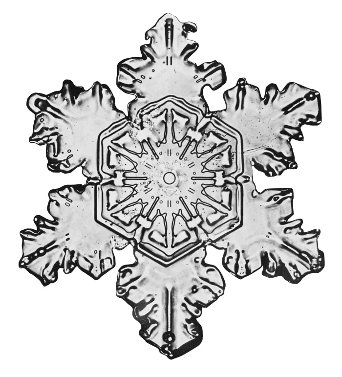 wilsonbentleysnowflake2.webp