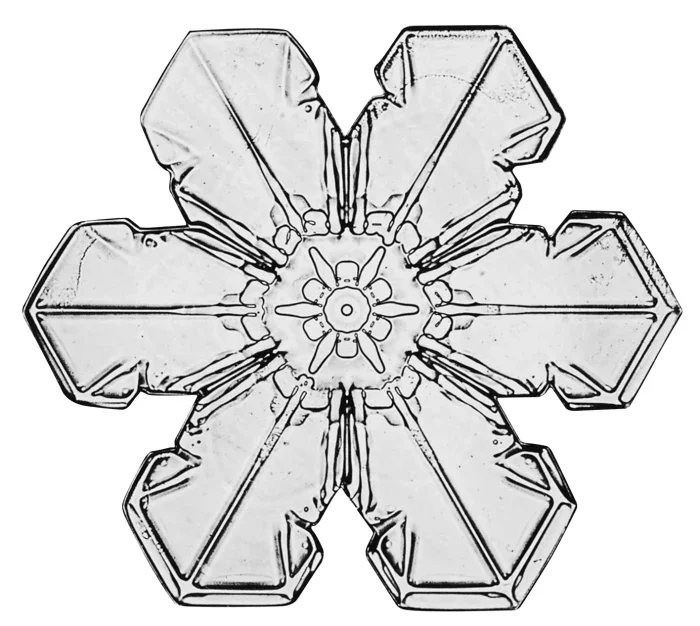 wilsonbentleysnowflake3.webp