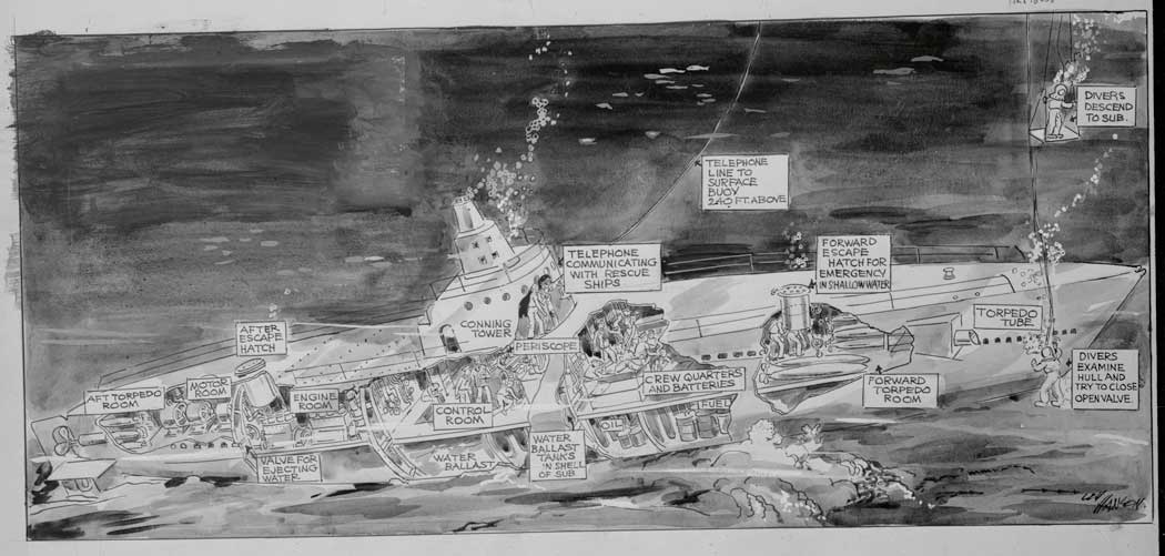 squalus-drawing.jpg