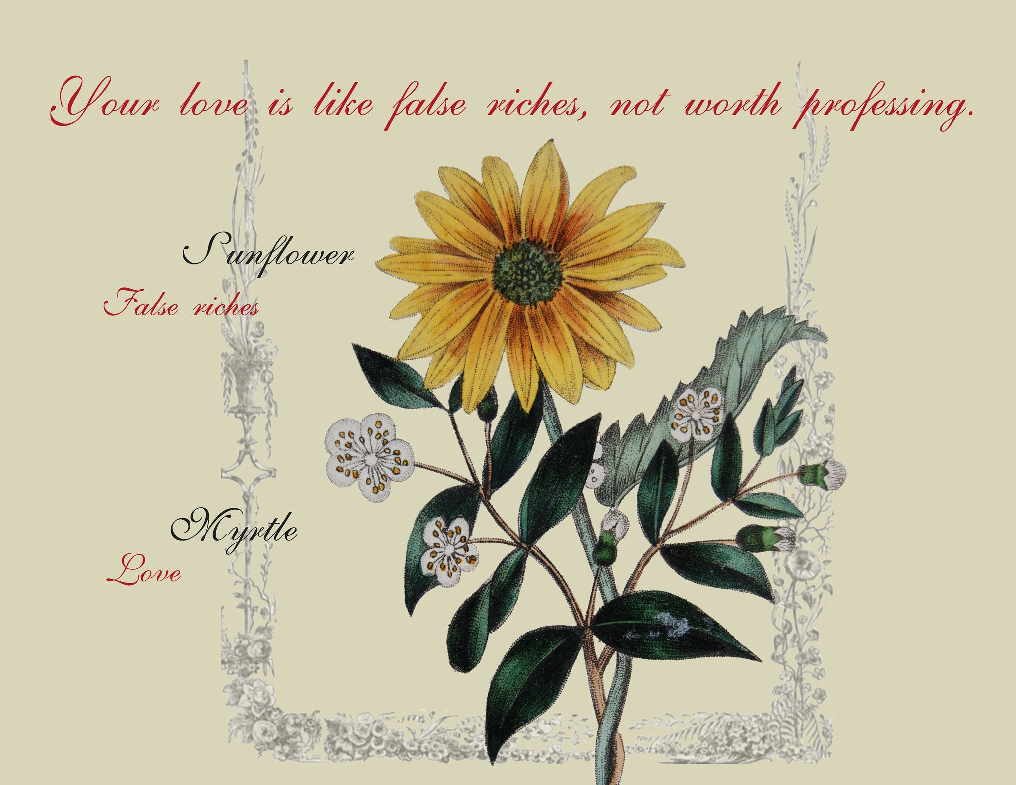 flowers9.jpg
