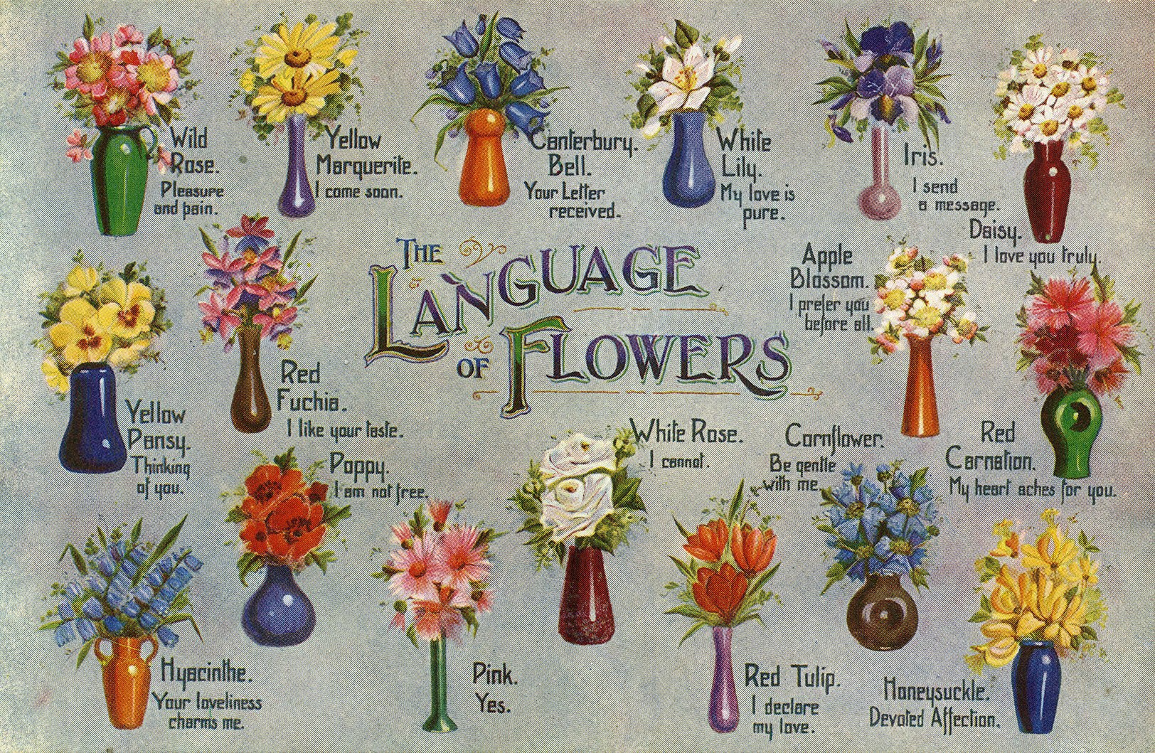 flowers15-poster.jpg