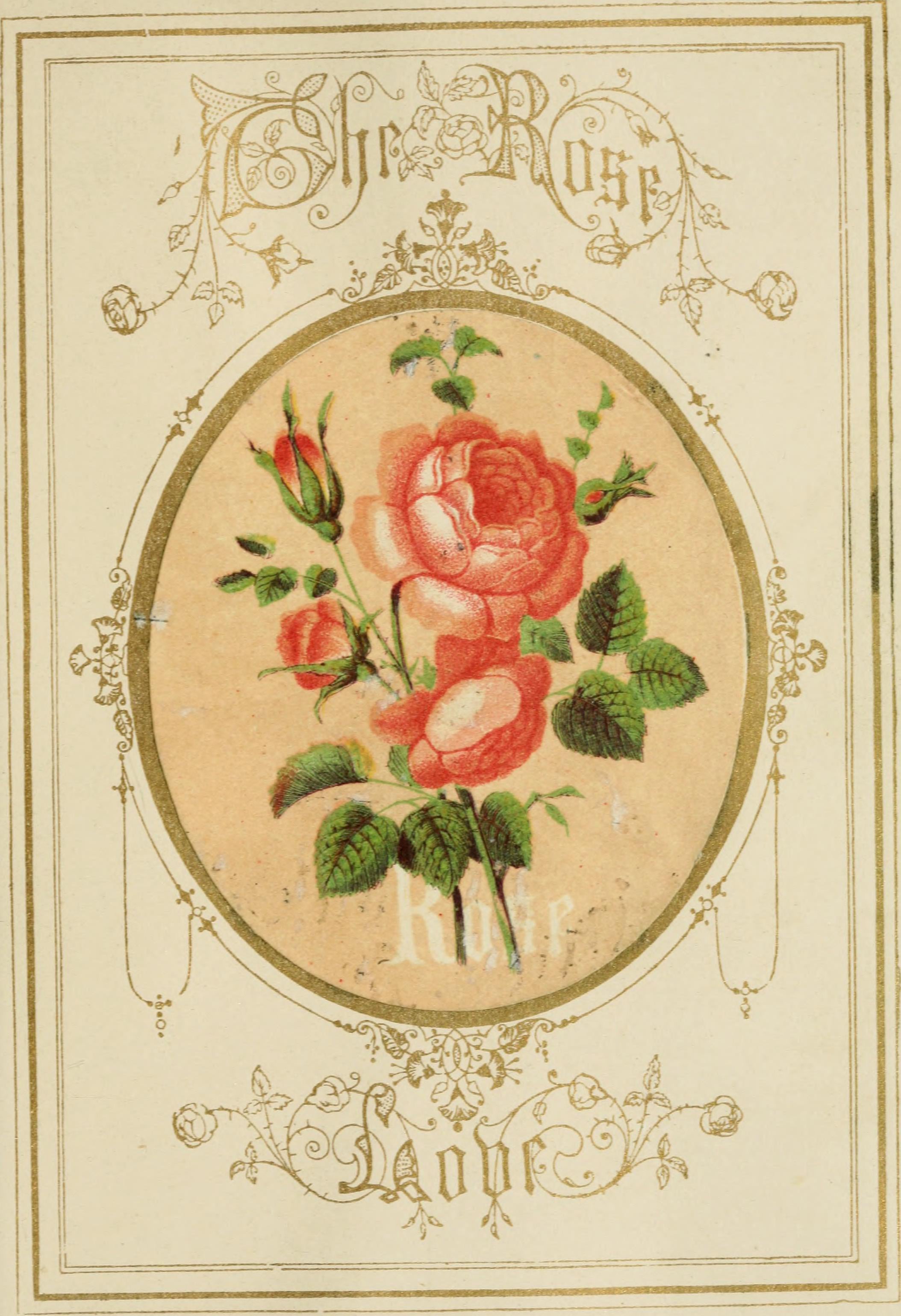 flowers13-rose.jpg