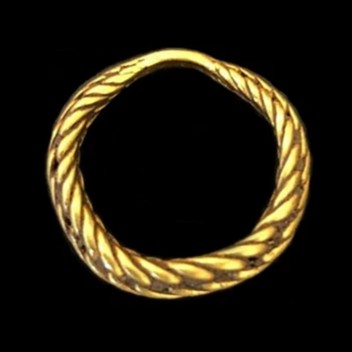 vikingring2019.png