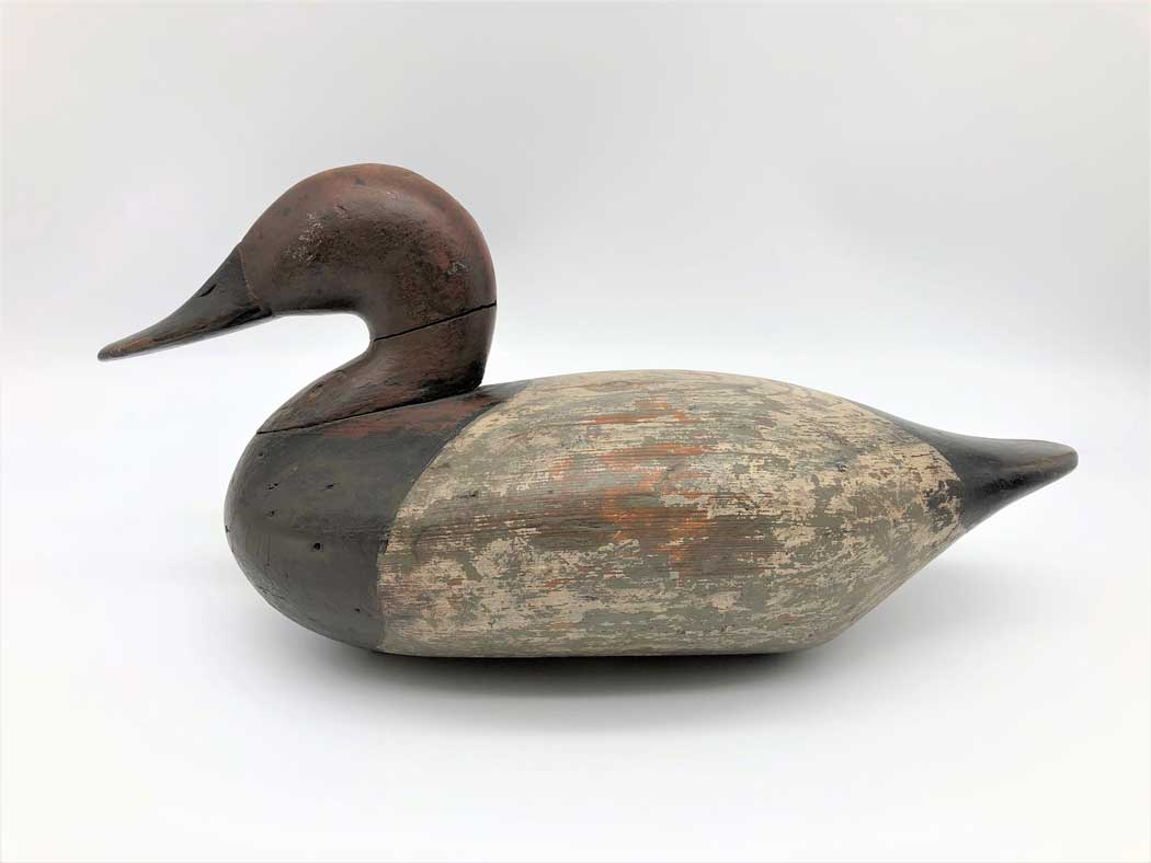 daddy-holly-canvasback-drake-web.jpg