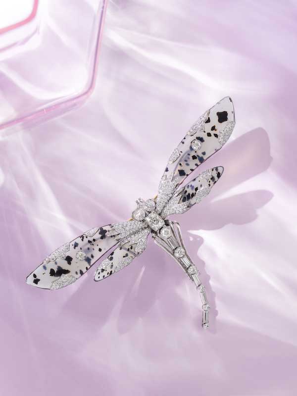 evelyn-clothier-dragonfly-broochweb.jpg
