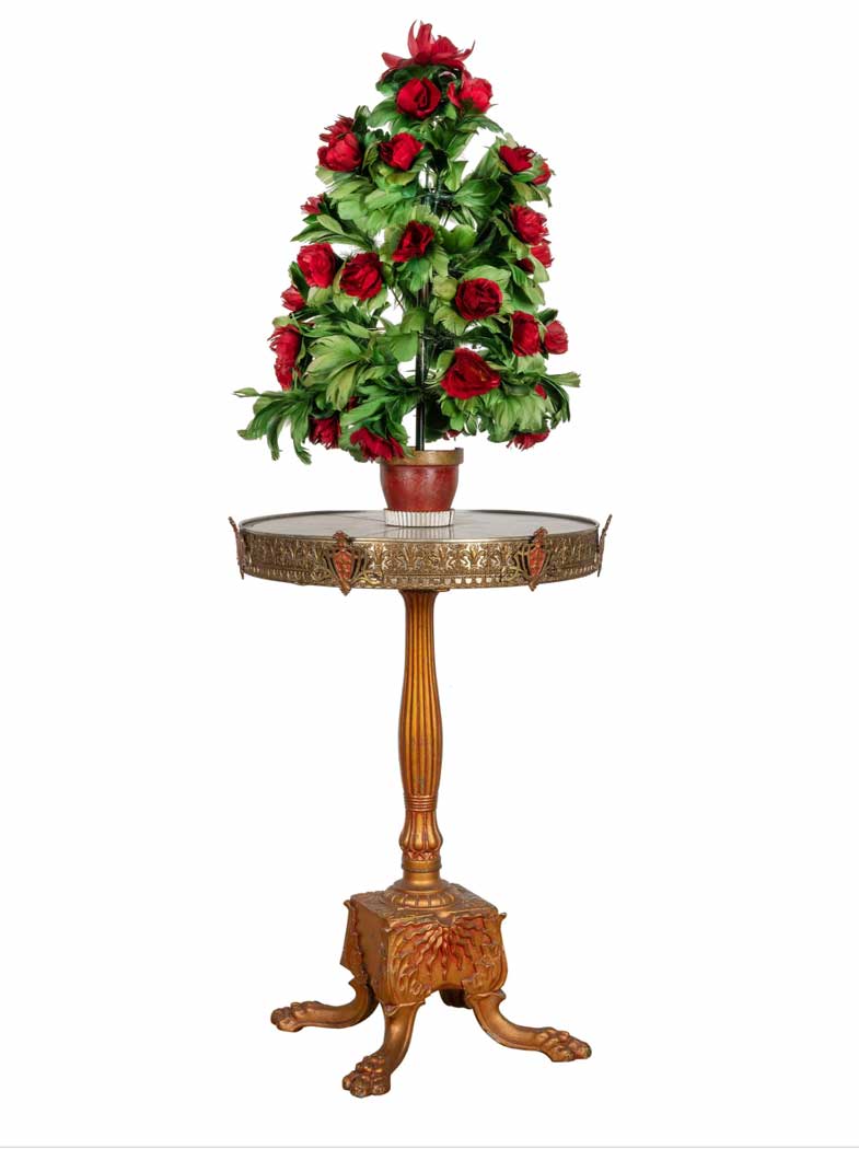 houdini-rosebush-2-web.jpg