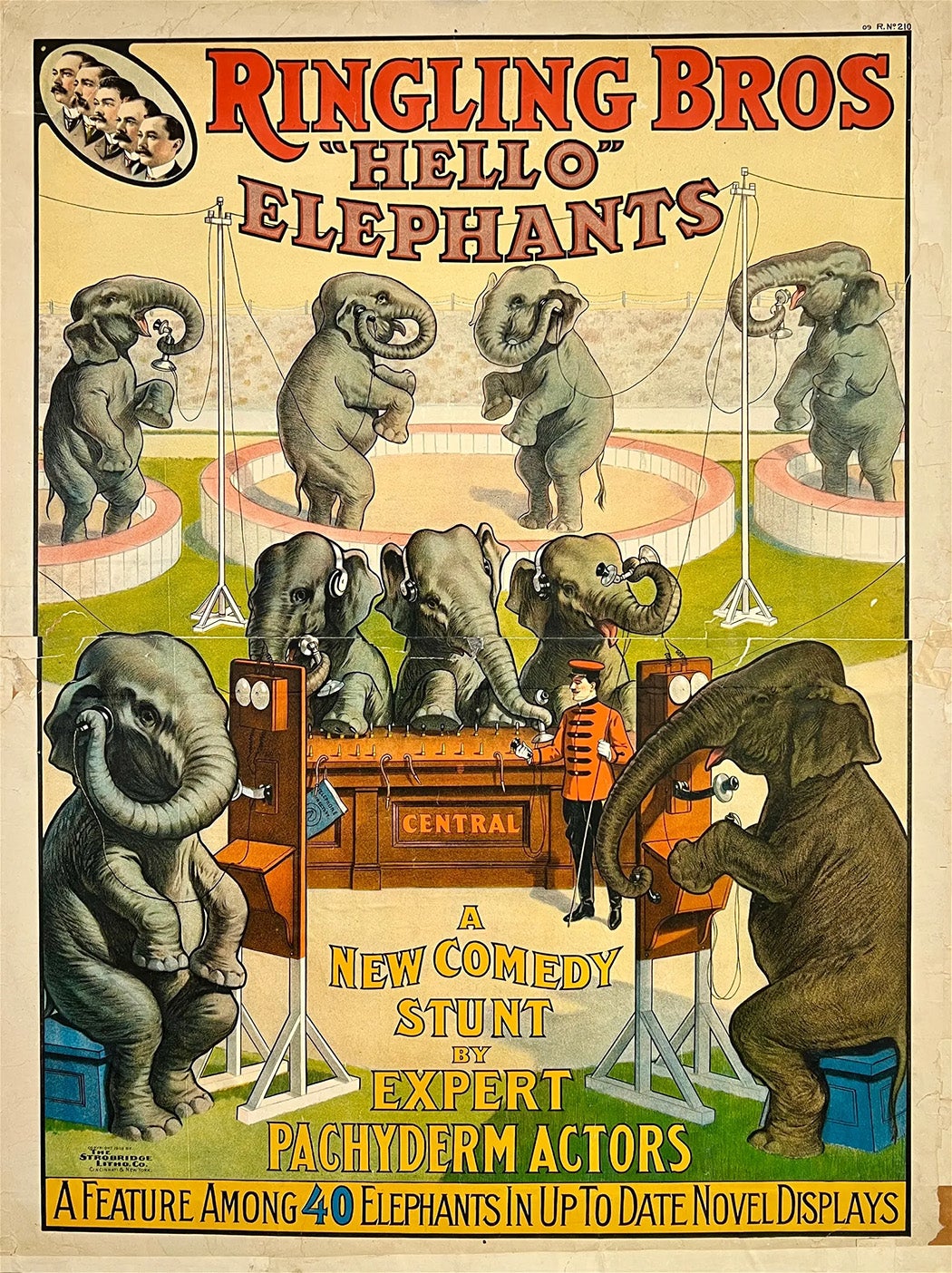 elephant.jpg