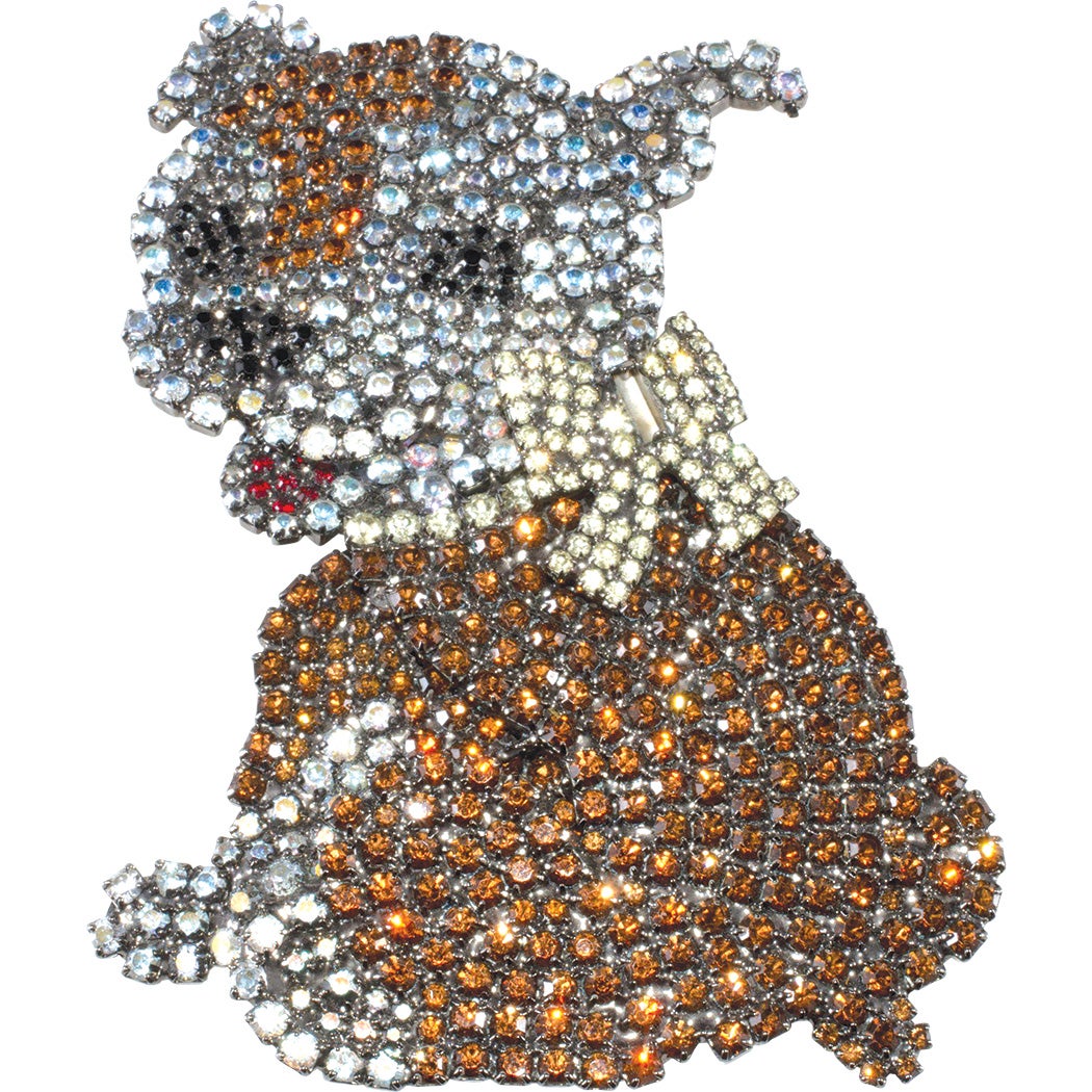 2vwdog1l.jpg